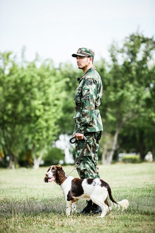 湖南卫视《奇兵神犬》杨烁警犬起名遇波折,特殊手势寻